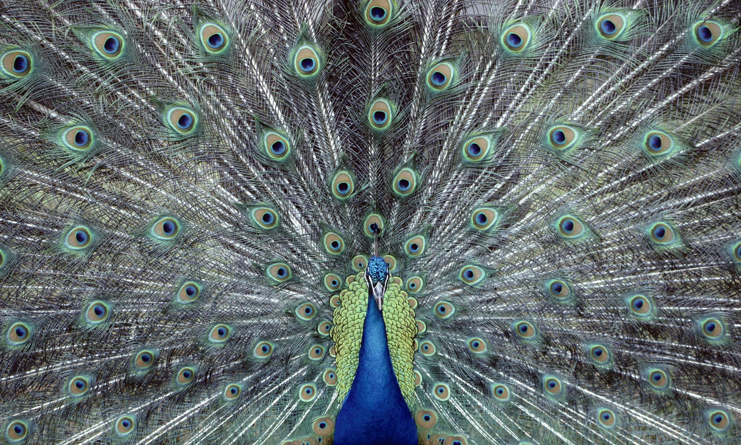 michael-hamments-86uyImsao38-unsplash